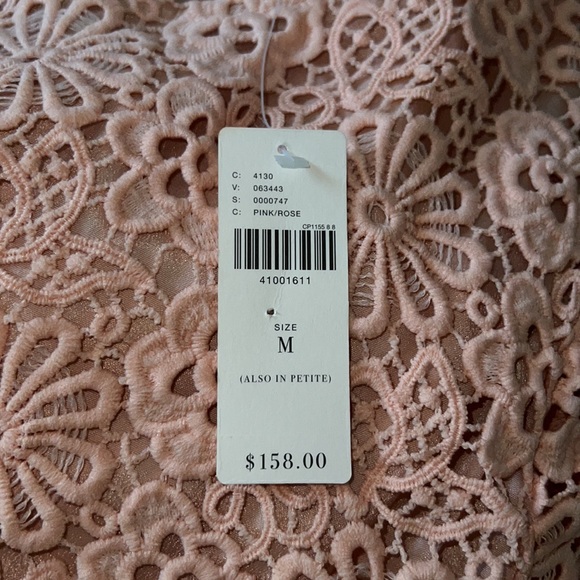 NWT Moulinette Soeurs Anthropologie Adanne Blush Lace Pleat Dress - Picture 3 of 7